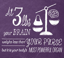 Your 3lb Brain