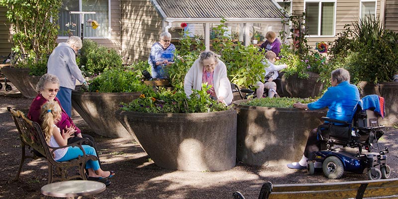 Seniors enjoying their assisted living garden